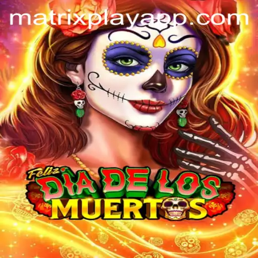 FelizDiadelos: Enter the World of MatrixPlay